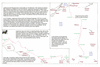 lap60  south to samoa_thumb.gif